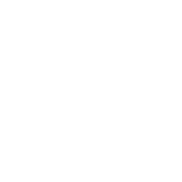 FBI